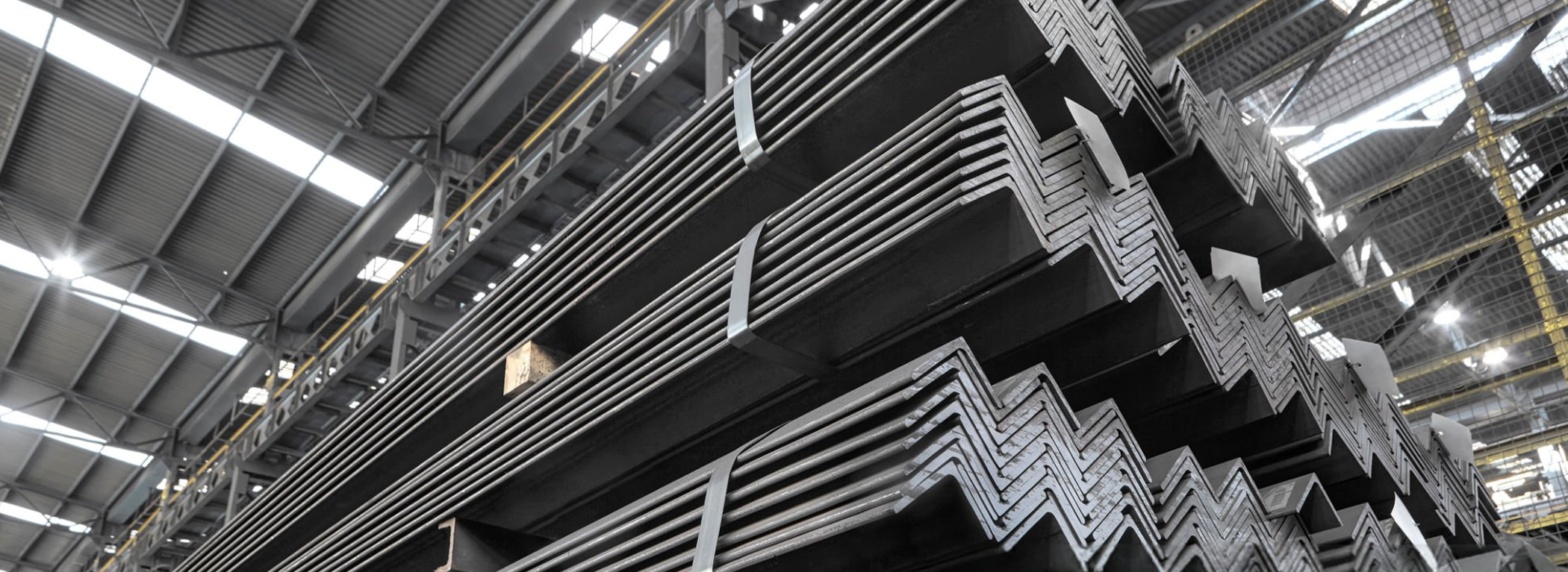 Banner Desktop 1